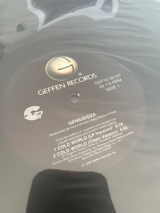 GENIUS/GZA - cold world