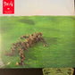 SQUID - bright green field