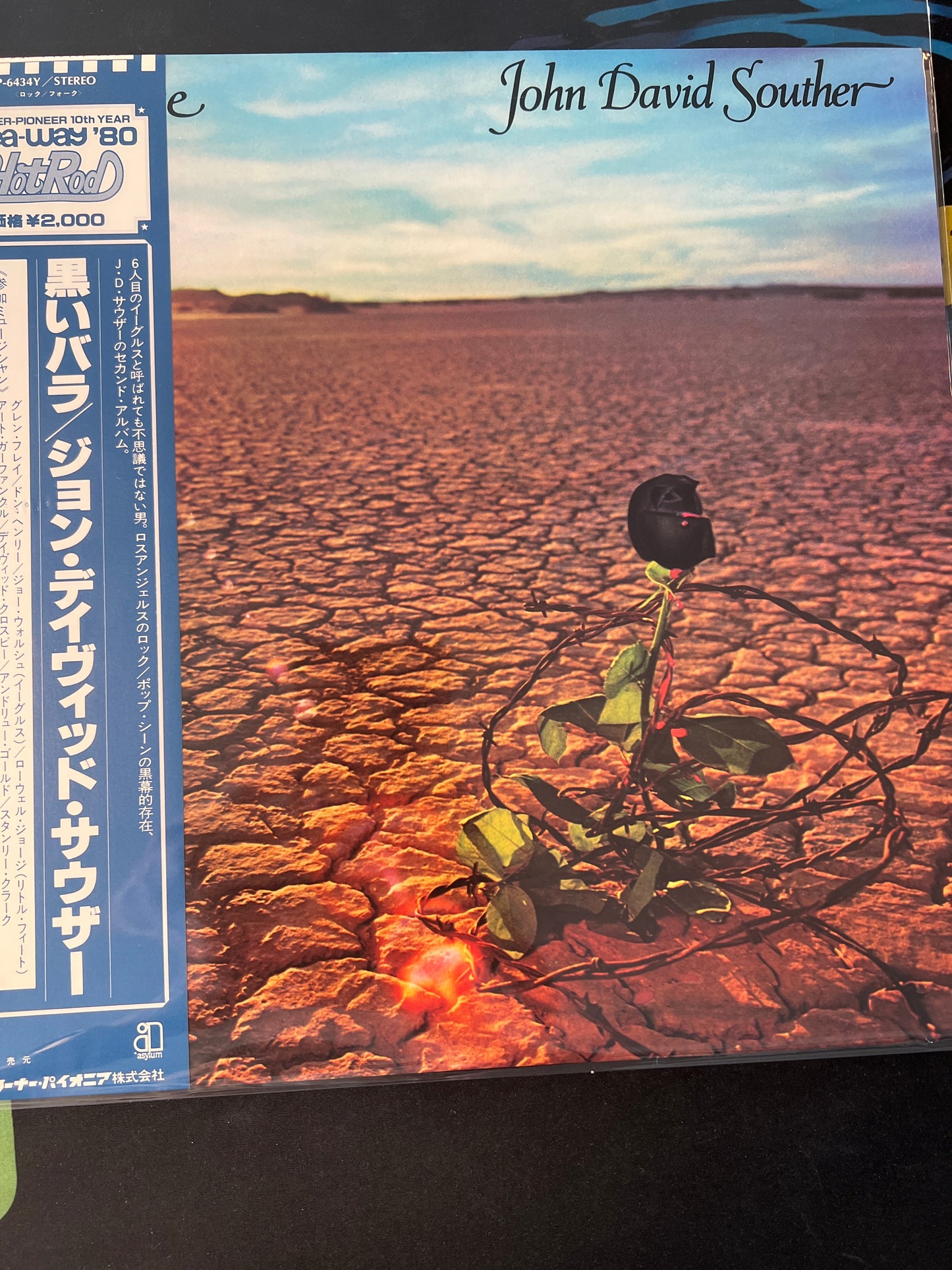 JOHN DAVID SOUTHER - black rose