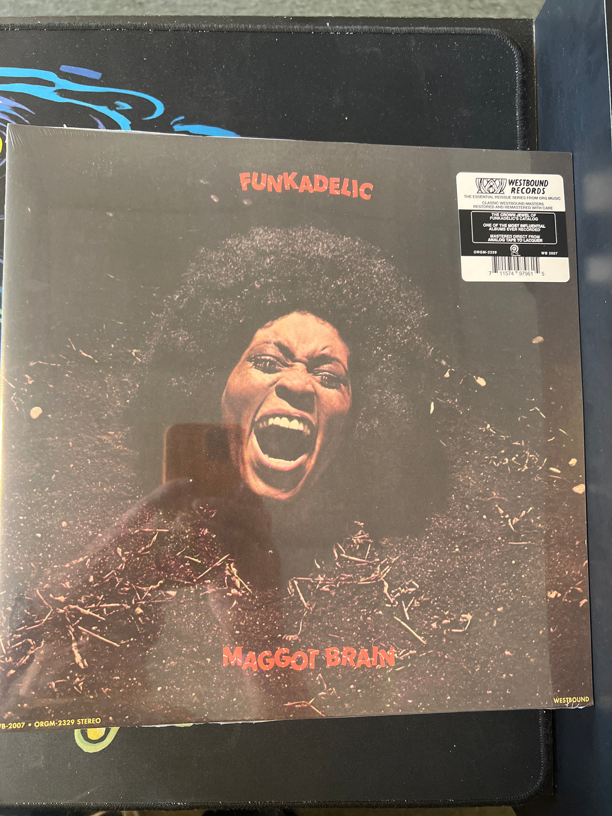 FUNKADELIC - maggot brain