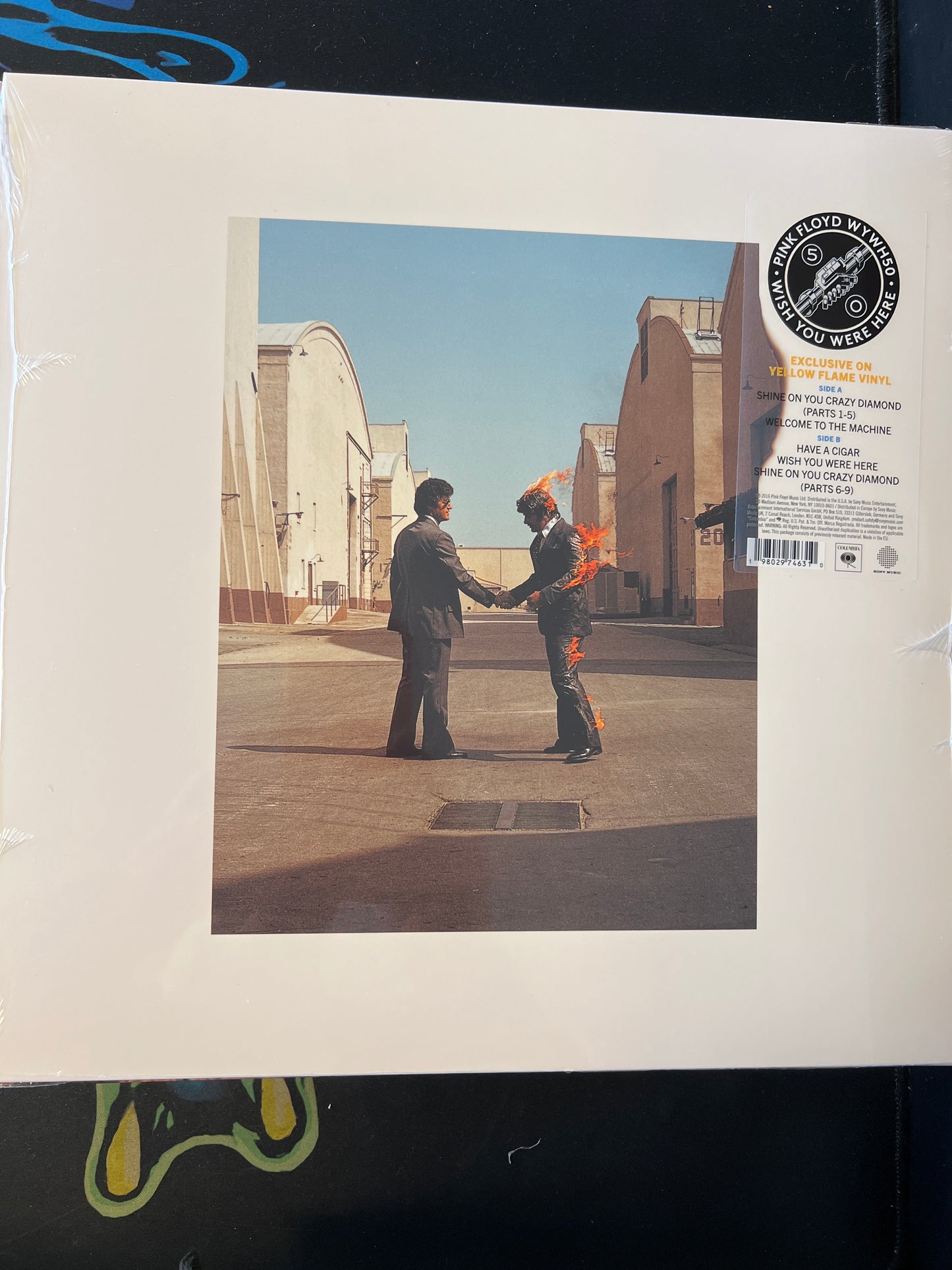 PINK FLOYD - wish you were here