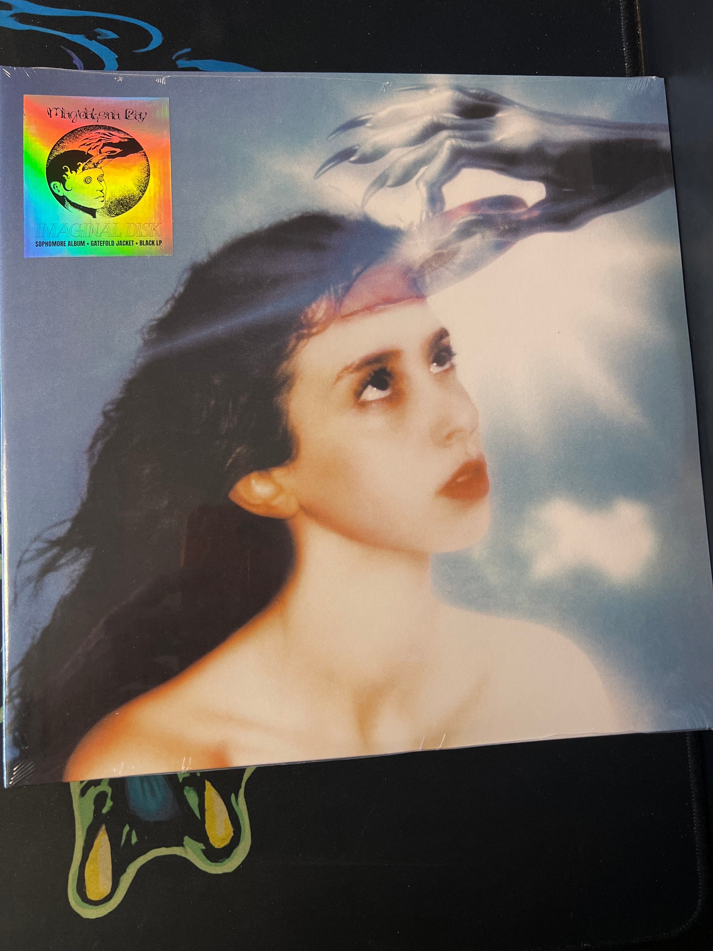 MAGDELANA BAY - imaginal disk