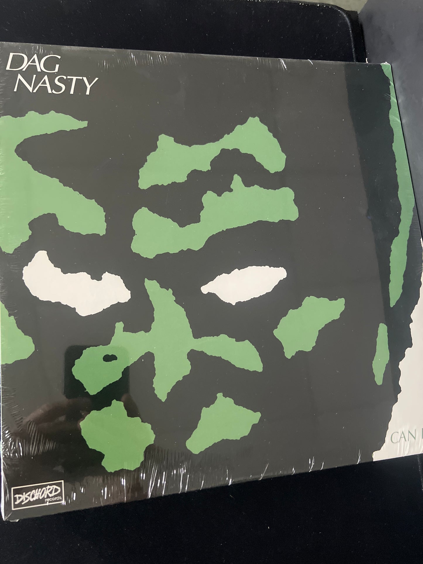 DAG NASTY - can I say