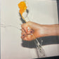 YEAH YEAH YEAHS - it’s blitz