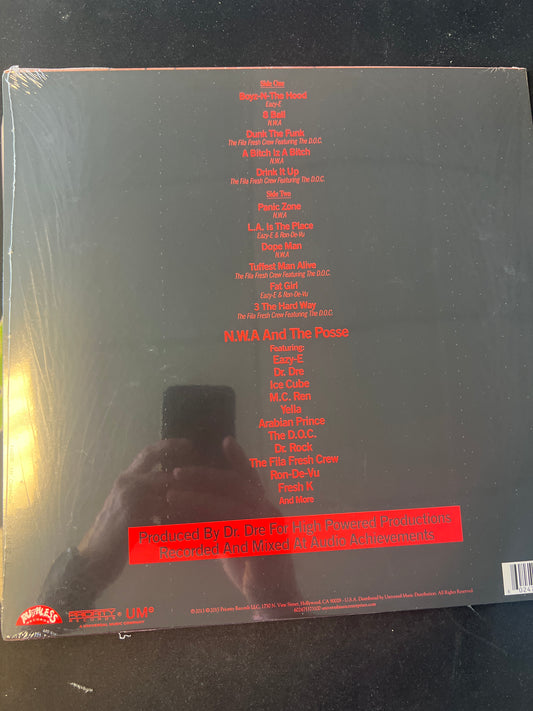 N.W.A. - and the posse