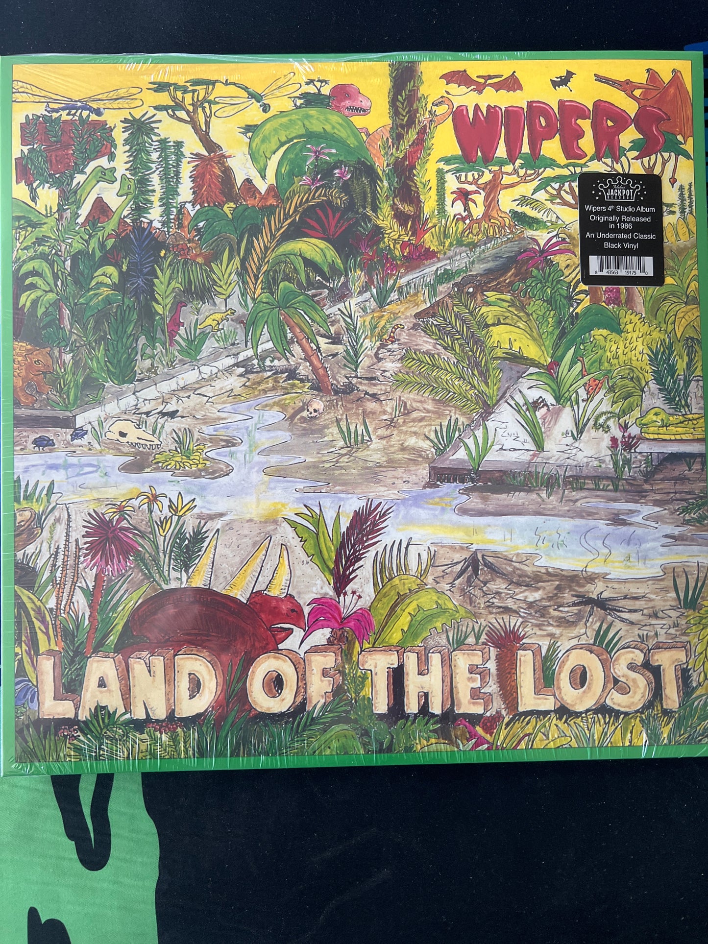 WIPERS - land of the lost