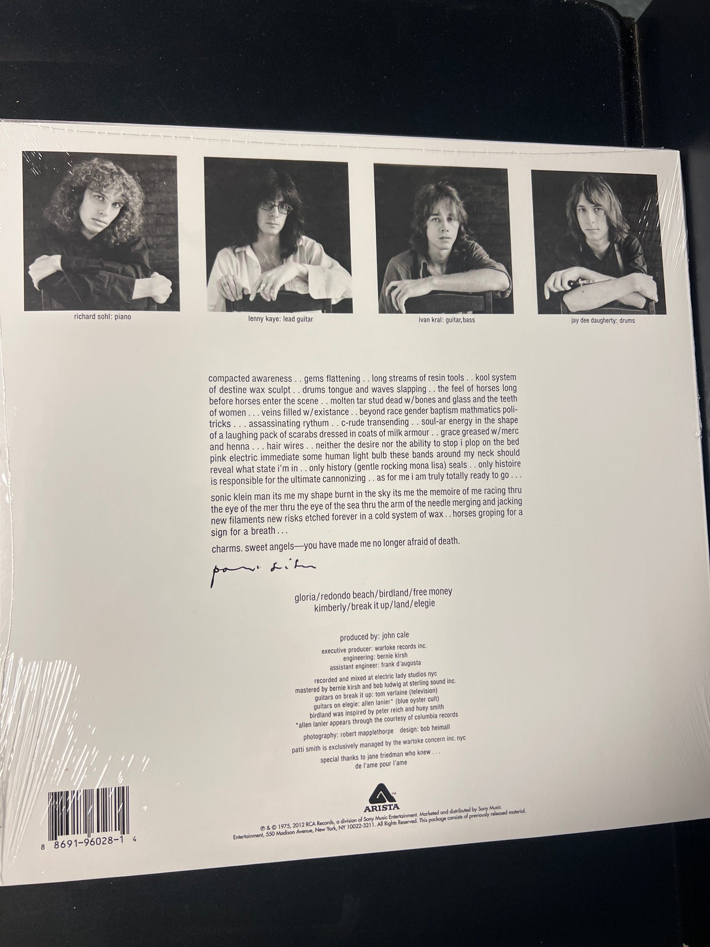 PATTI SMITH - horses