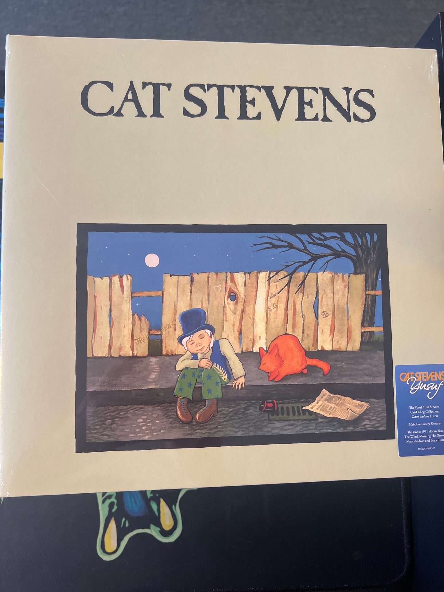 CAT STEVENS - teaser and the fire cat