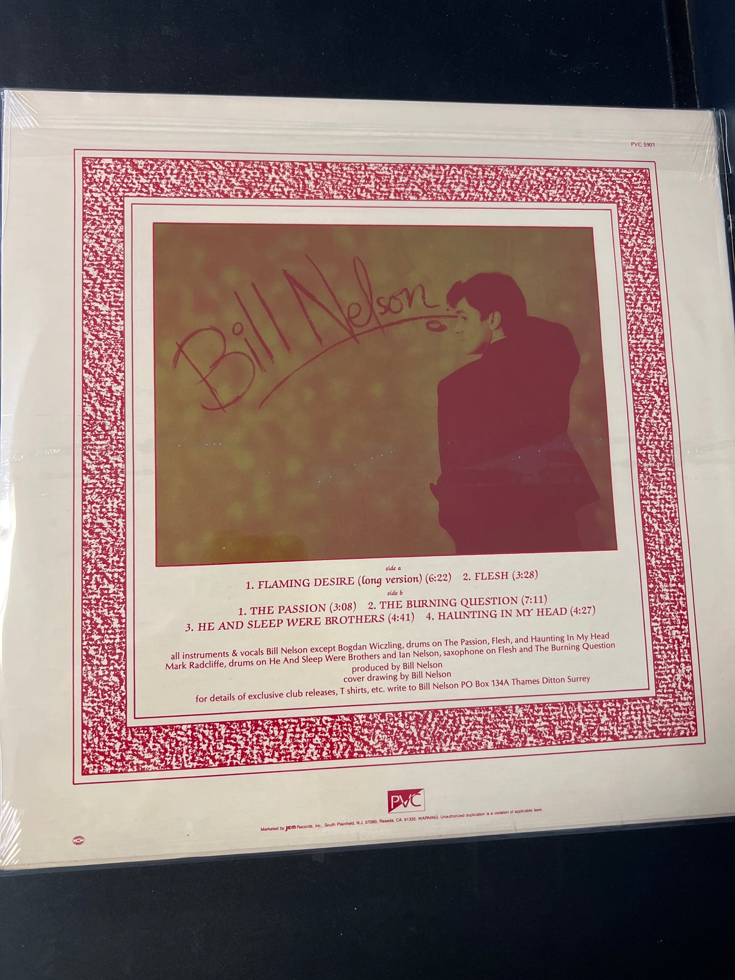 BILL NELSON - flaming desire and other passions