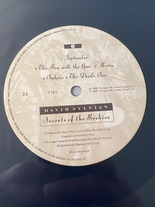 DAVID SYLVIAN - secrets of the beehive