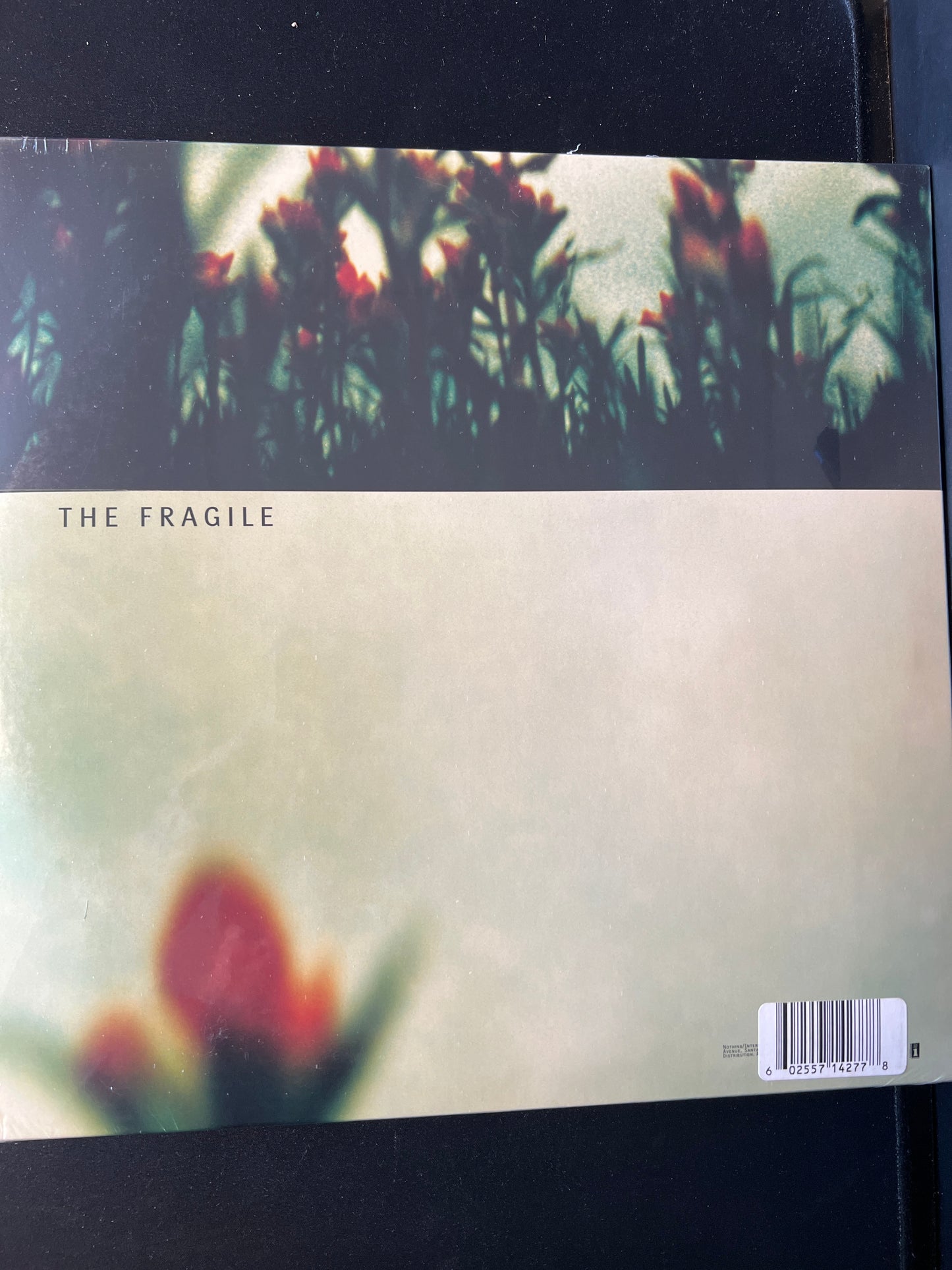 NINE INCH NAILS - the fragile