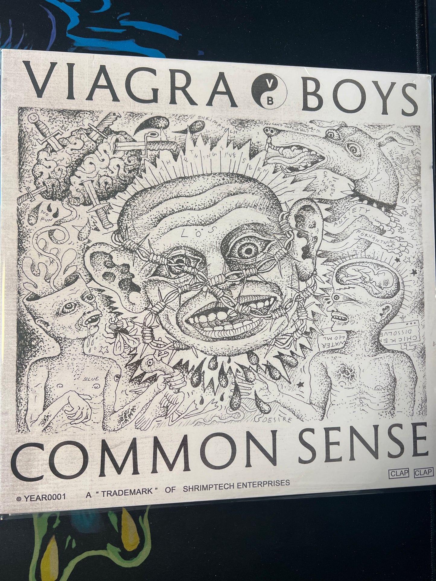 VIAGRA BOYS - common sense