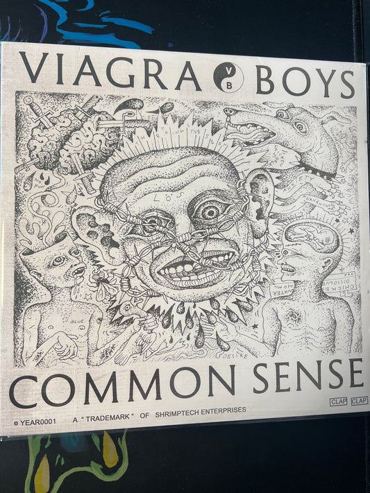 VIAGRA BOYS - common sense