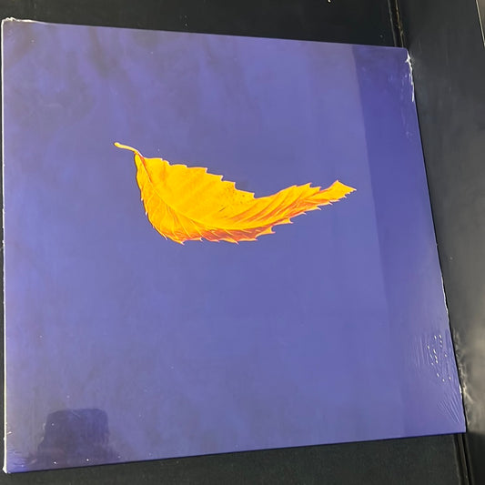 NEW ORDER - true faith