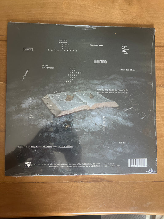 THEY MIGHT BE GIANTS - Book