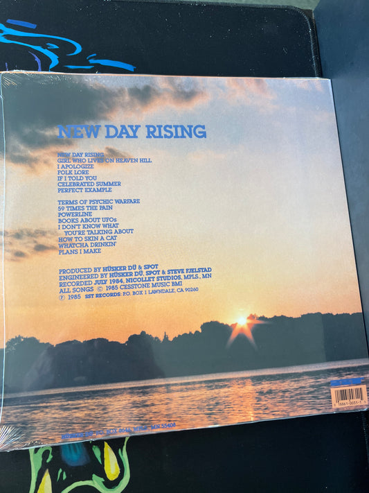 HUSKER DU - new day rising