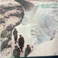 ECHO & THE BUNNYMEN - porcupine