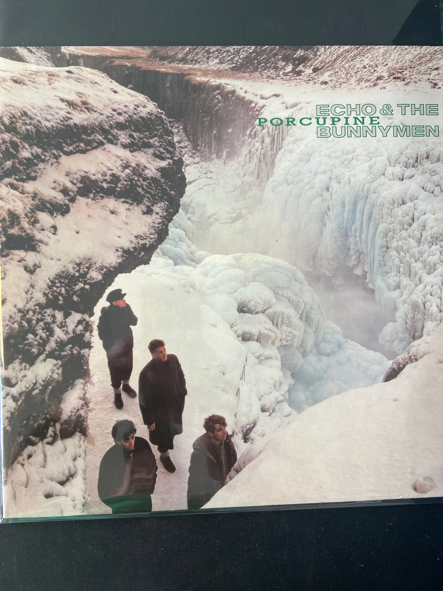 ECHO & THE BUNNYMEN - porcupine