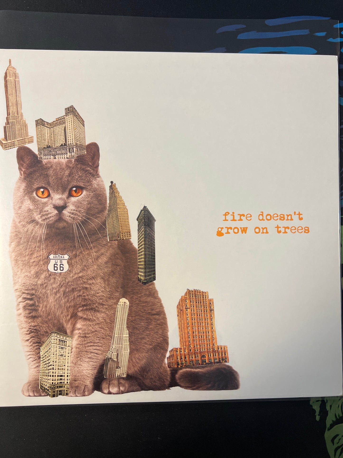 THE BRIAN JONESTOWN MASSACRE - fire doesn’t grow on trees