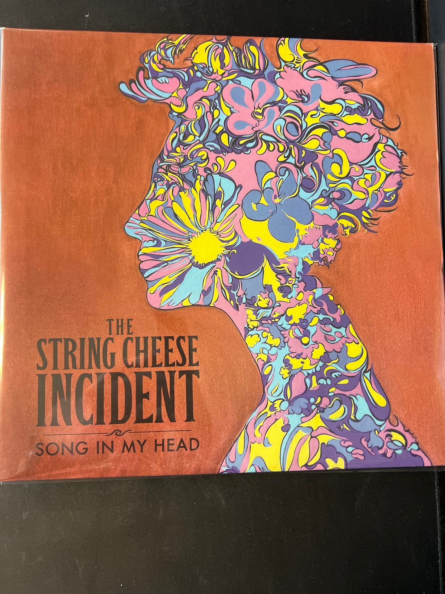 THE STRING CHEESE INCIDENT - song in my head