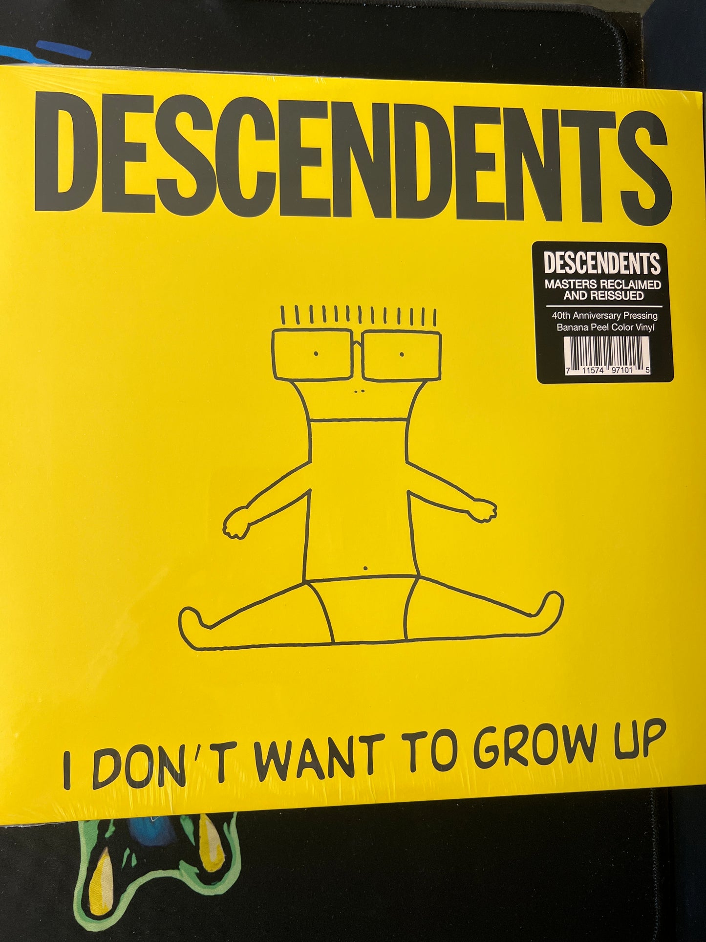 DESCENDENTS - I don’t want to grow up
