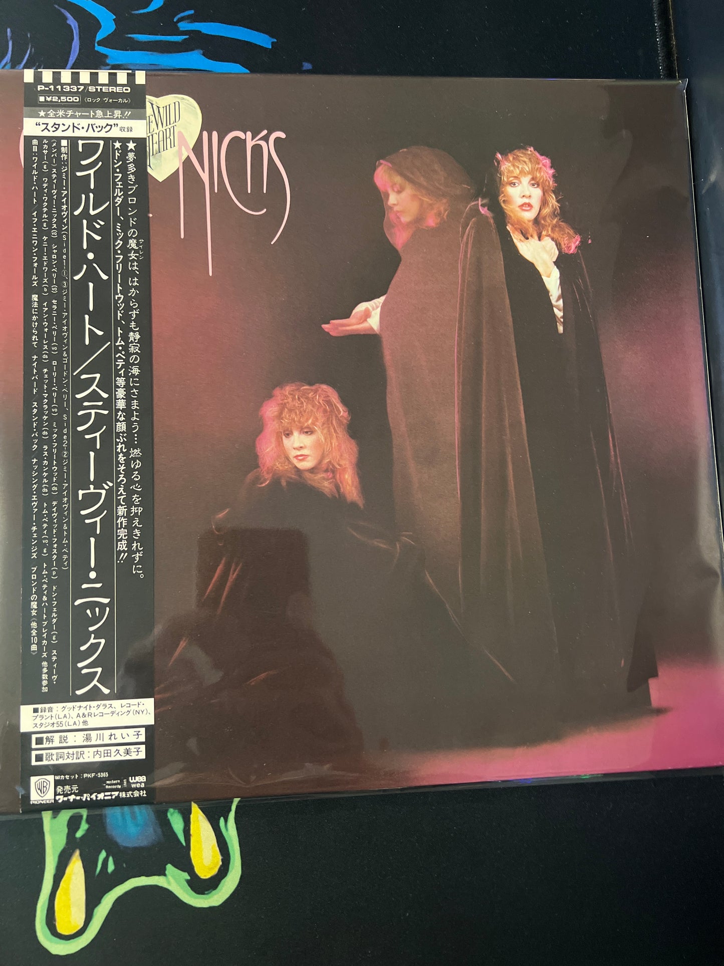 STEVIE NICKS - the wild heart