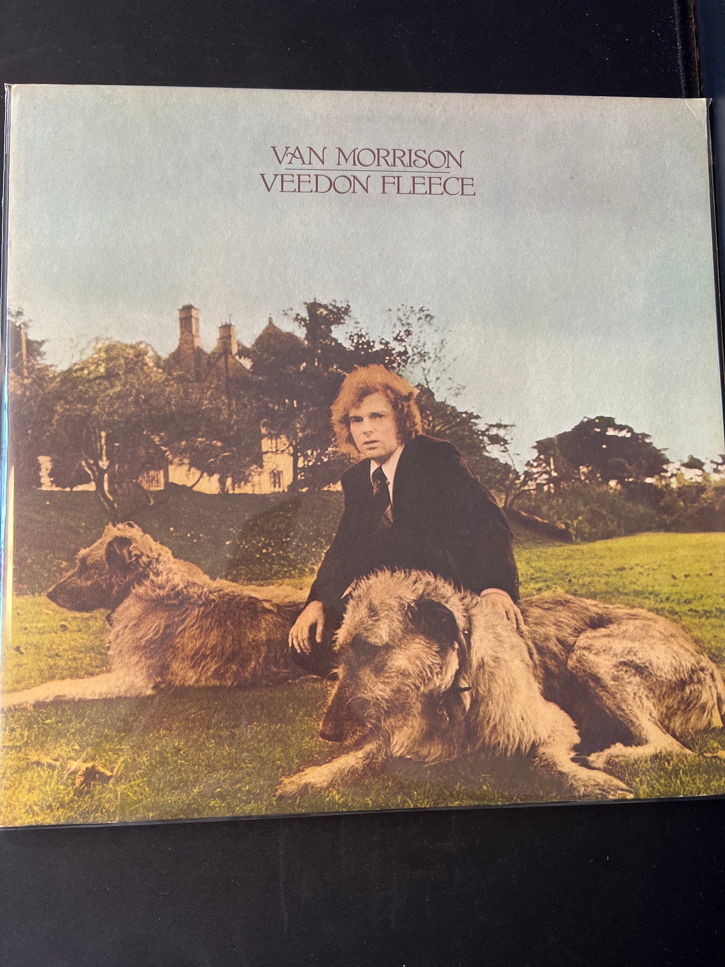VAN MORRISON - veedon fleece