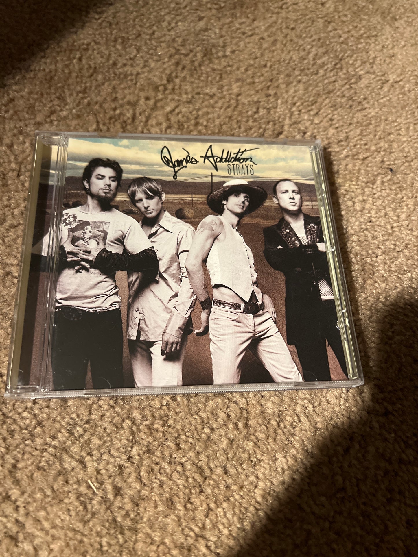 JANES ADDICTION - strays
