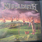 MEGADETH - youthanasia