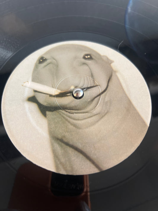 SKRATCHY SEAL - sealed breaks