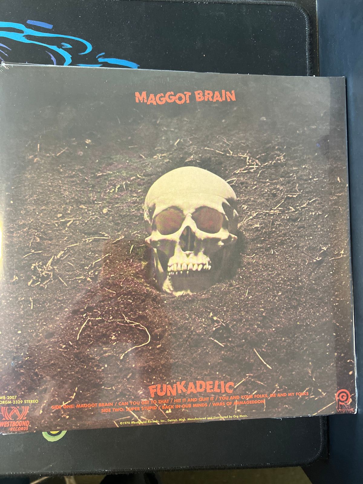 FUNKADELIC - maggot brain