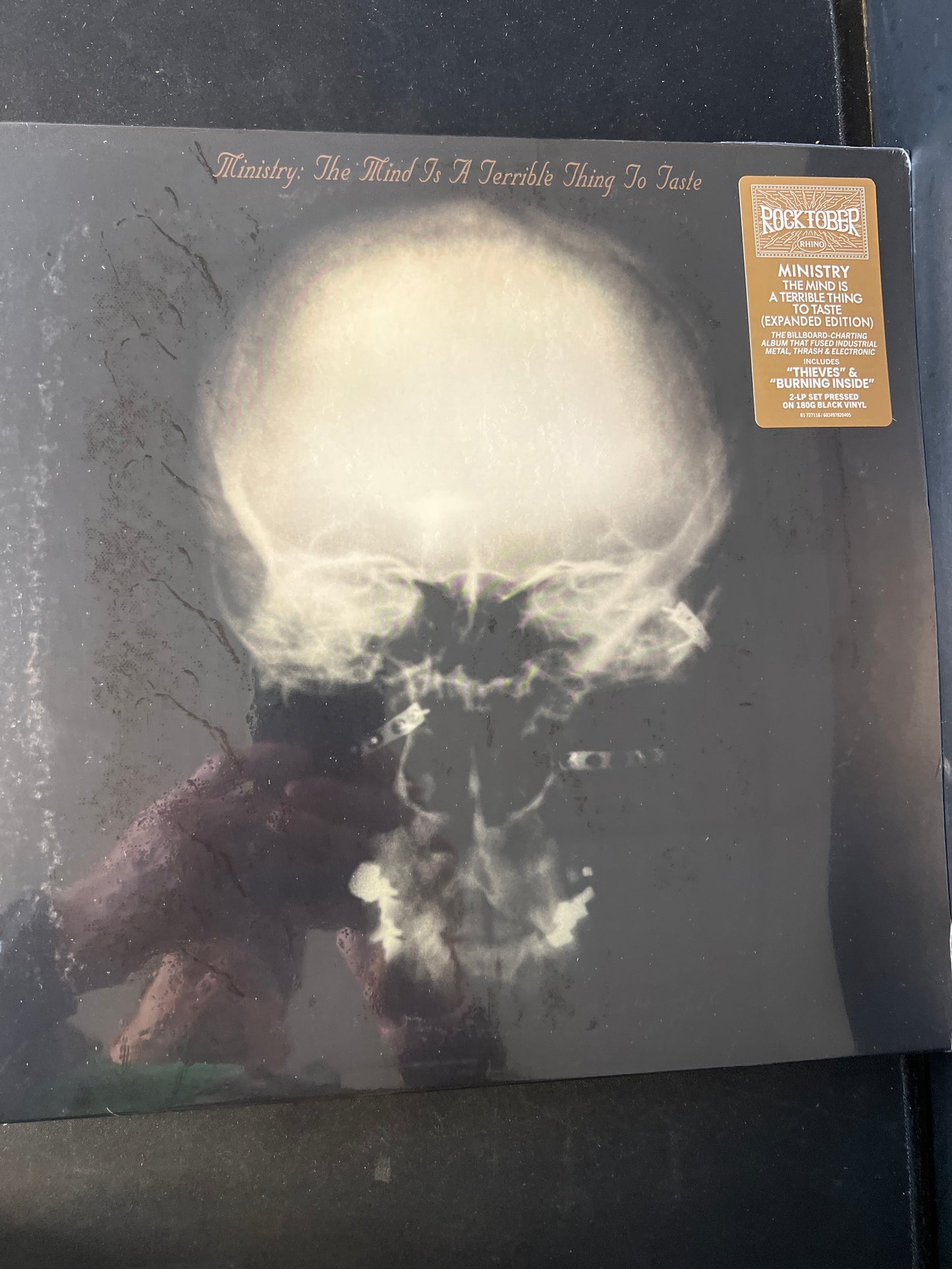 MINISTRY - the mind is a terrible thing to taste