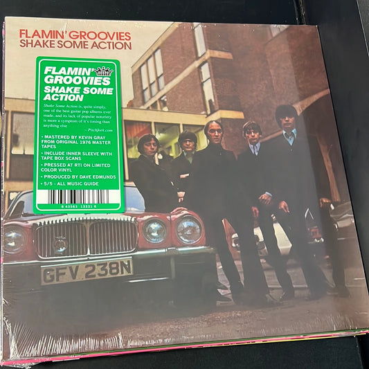 FLAMIN GROOVIES - shake some action