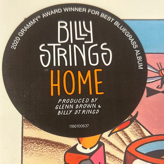 BILLY STRINGS - home