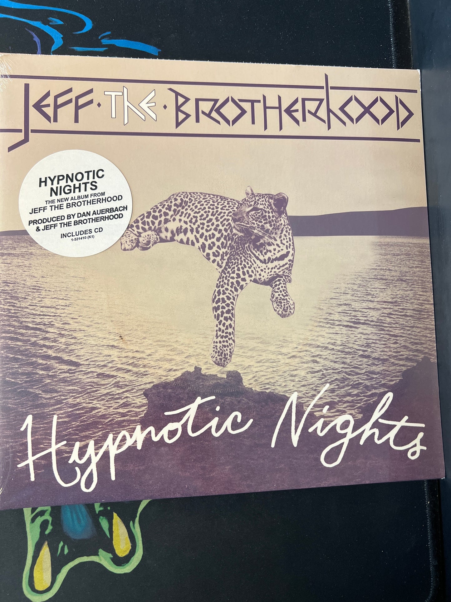 JEFF THE BROTHERHOOD - hypnotic nights