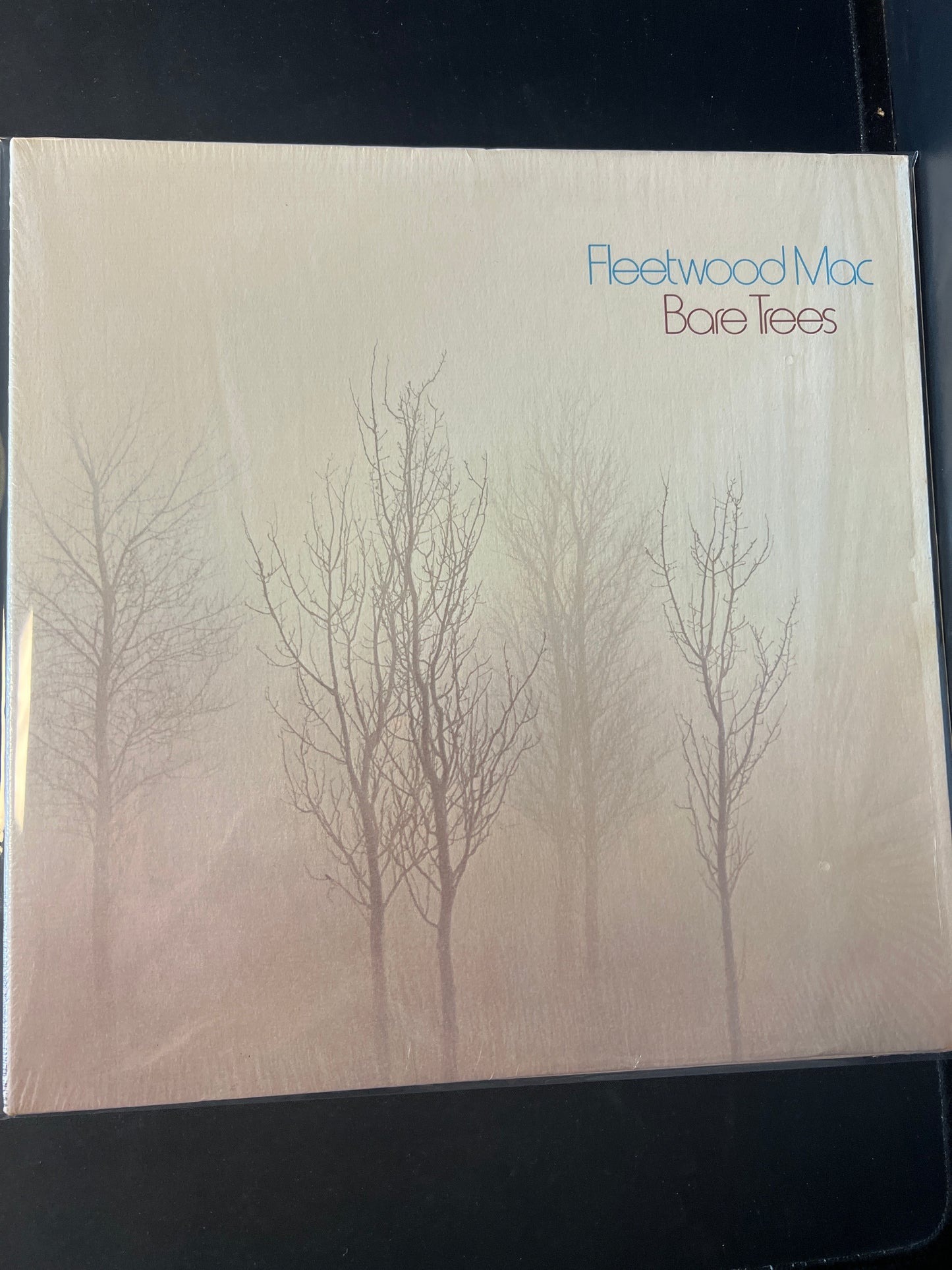 FLEETWOOD MAC - bare trees