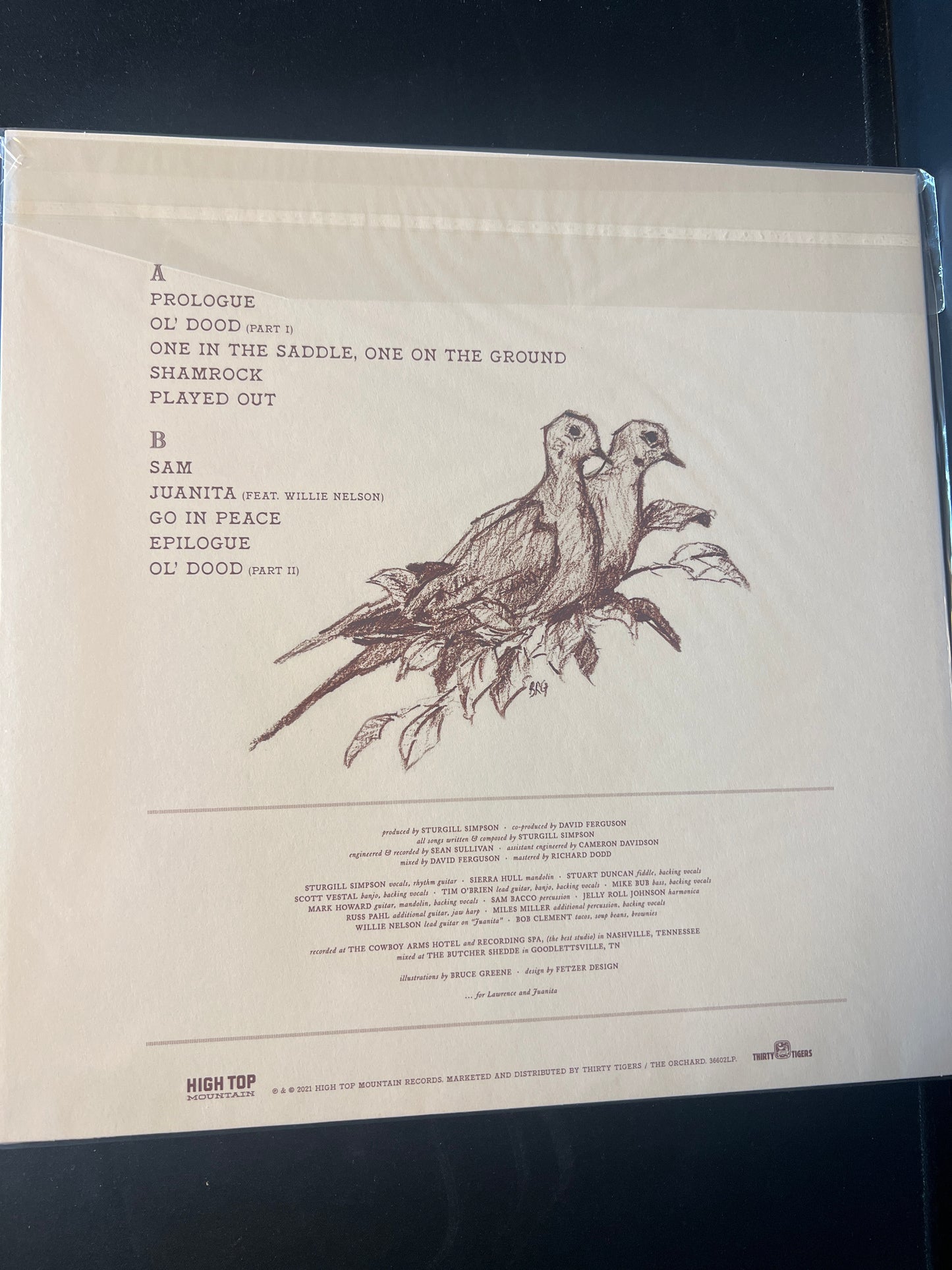 STURGILL SIMPSON - the ballad of Dood & Juanita