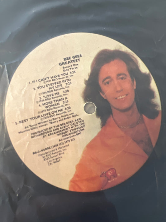 BEE GEES - greatest