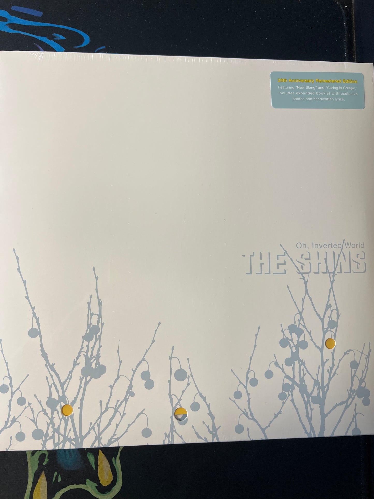 THE SHINS - oh, inverted world