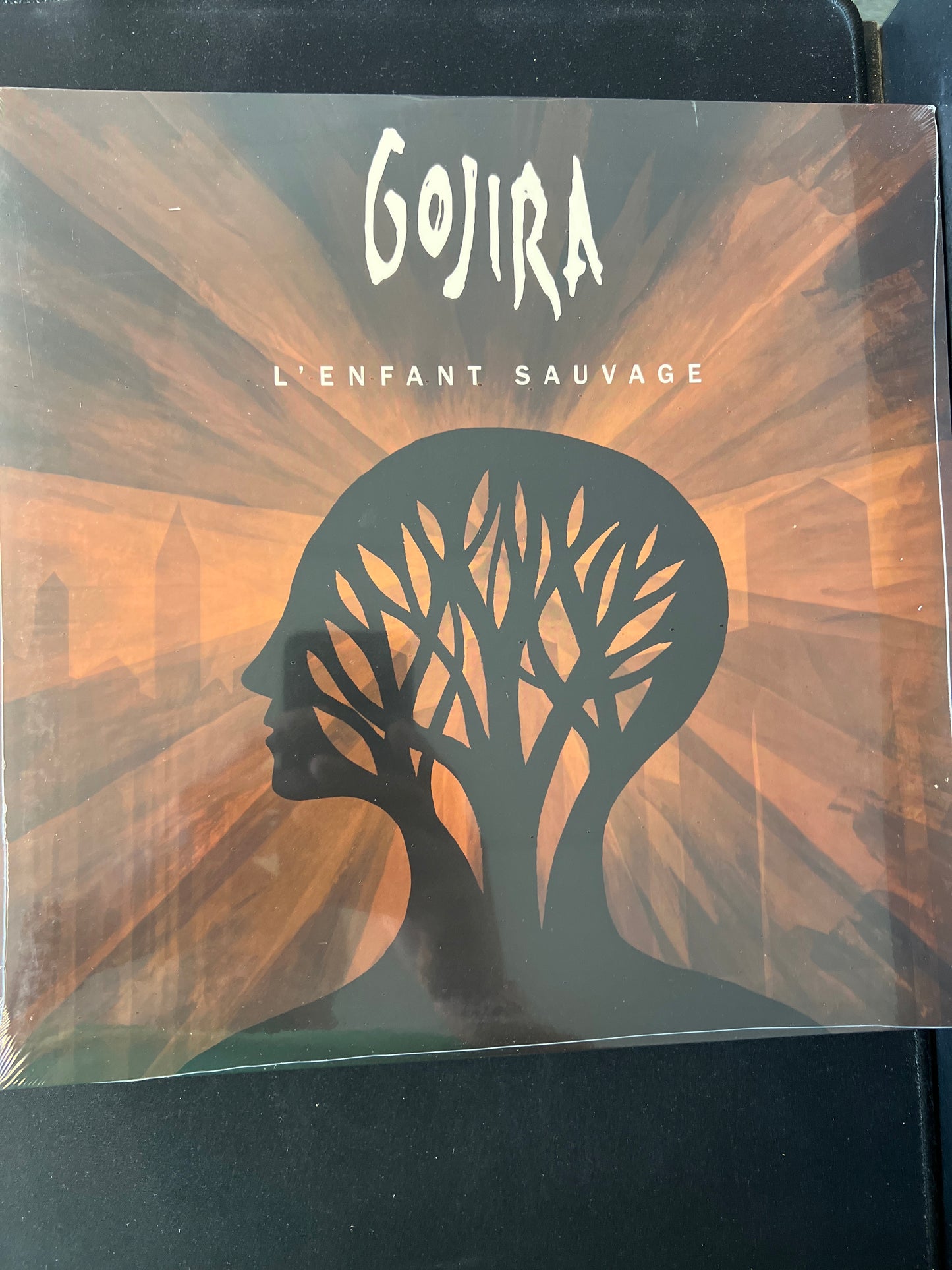 GOJIRA - l’enfant sauvage