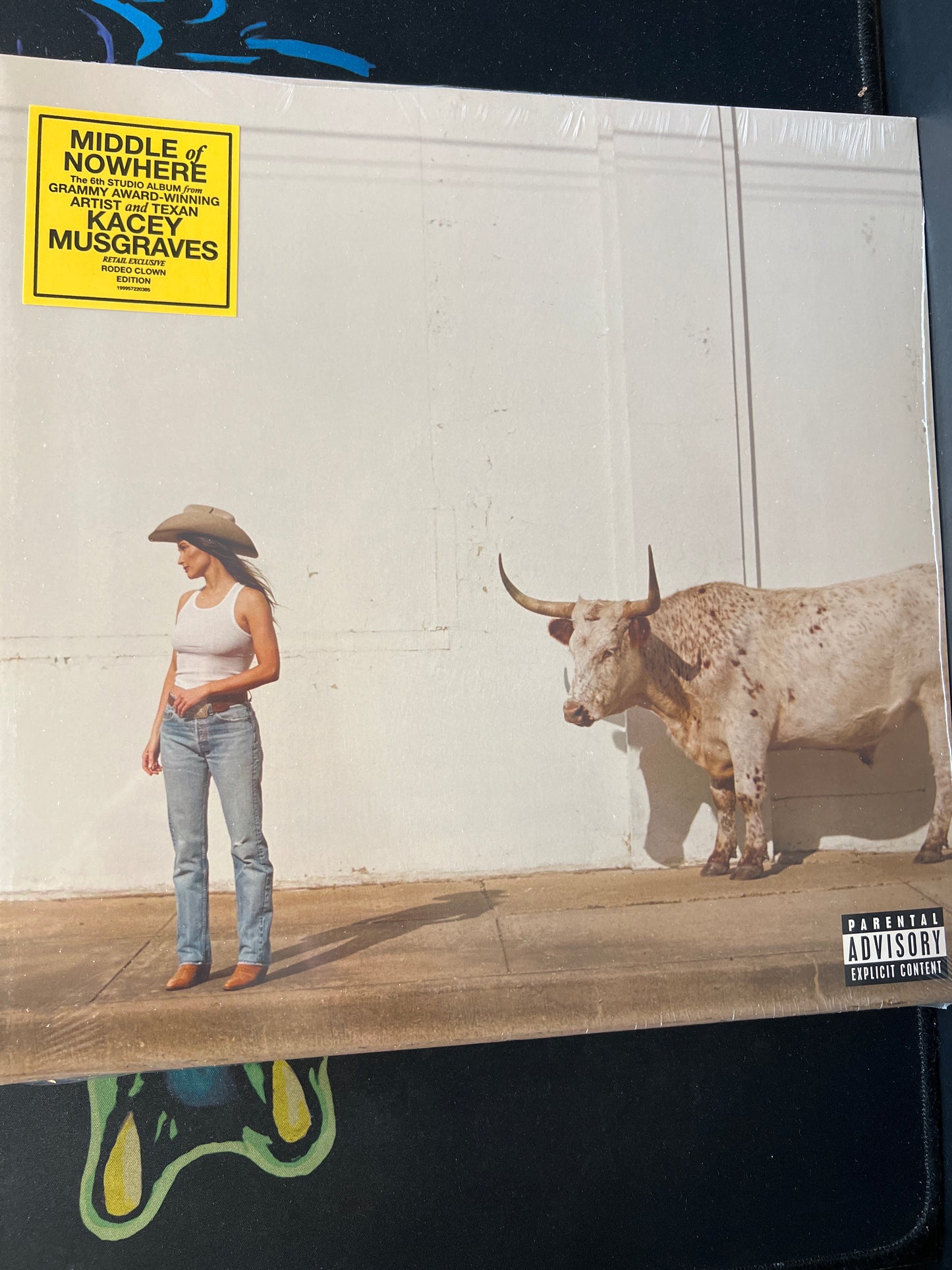 KACEY MUSGRAVES - middle of nowhere (rodeo clown edition)