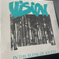 VISION - in the blink of an eye
