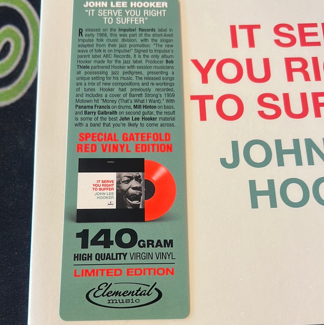 JOHN LEE HOOKER - it serve you right to suffer