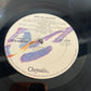 ICEHOUSE - man of colors