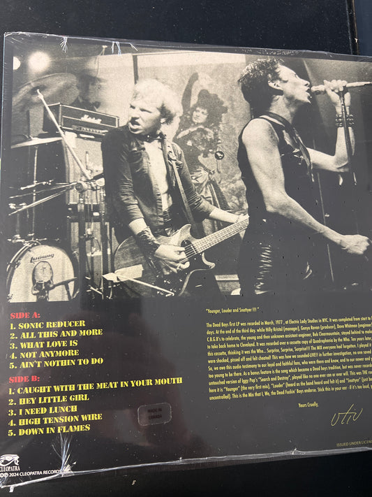 DEAD BOYS - younger louder and snottyer!