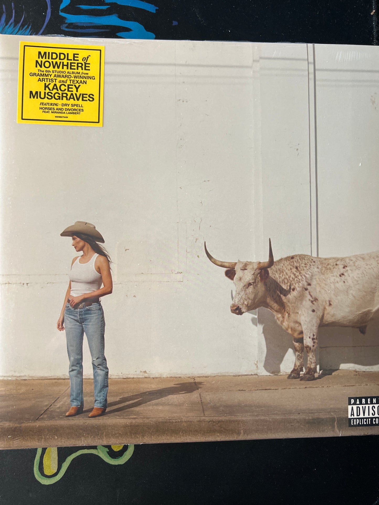 KACEY MUSGRAVES - middle of nowhere