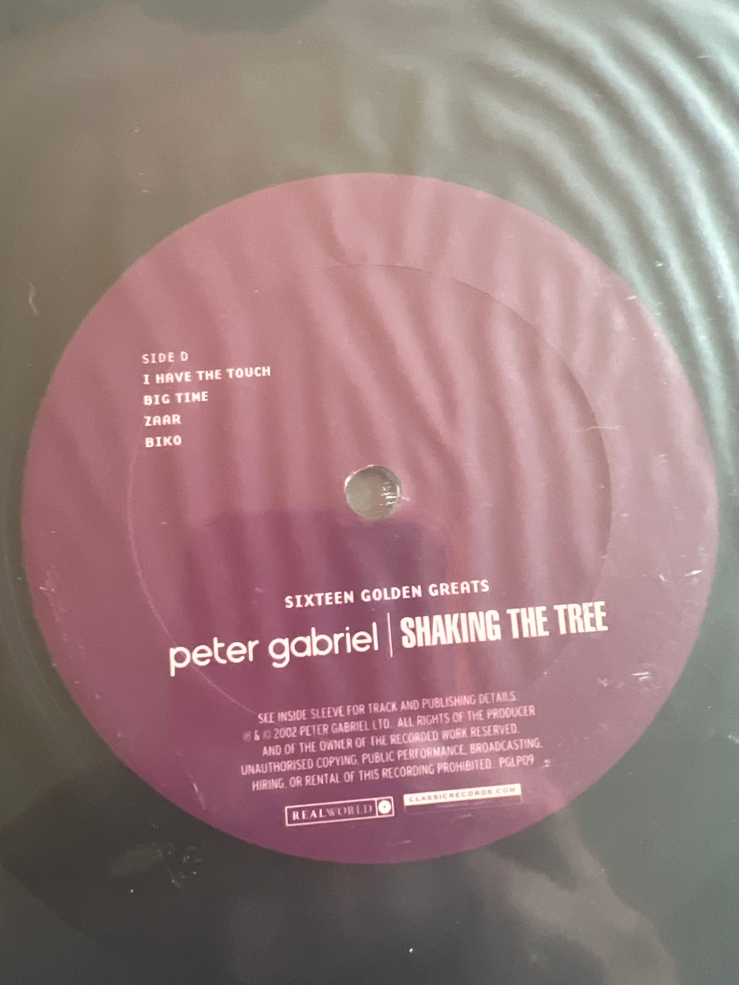 PETER GABRIEL - shaking the tree