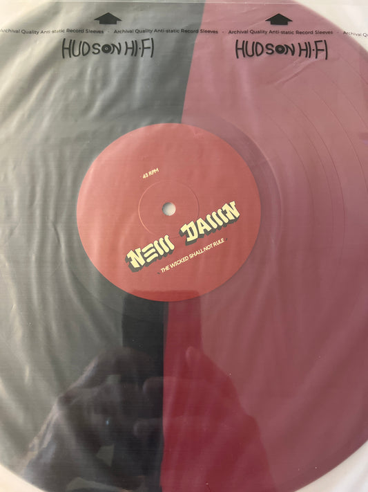 NEW DAWN - the wicked shall not rule