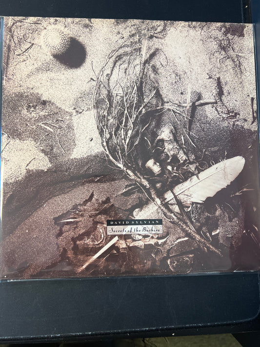DAVID SYLVIAN - secrets of the beehive