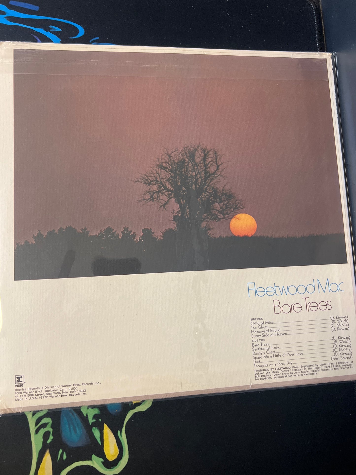 FLEETWOOD MAC - bare trees